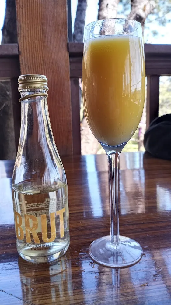 Mimosa